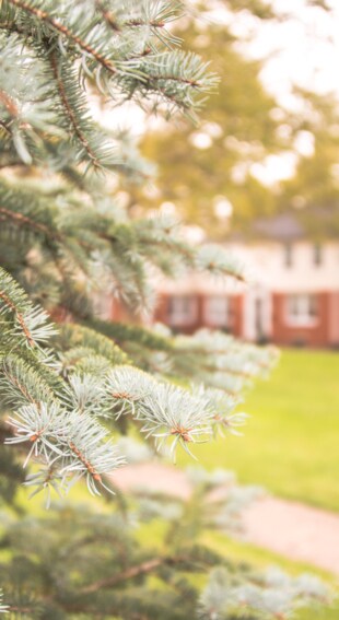 Foto del edificio - Amherst Gardens
