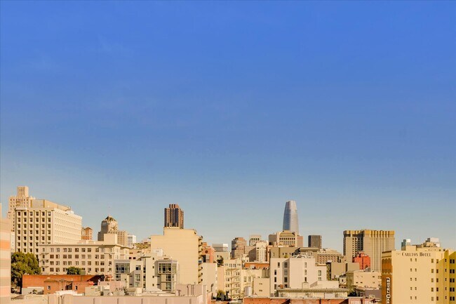Building Photo - 1238 Sutter St