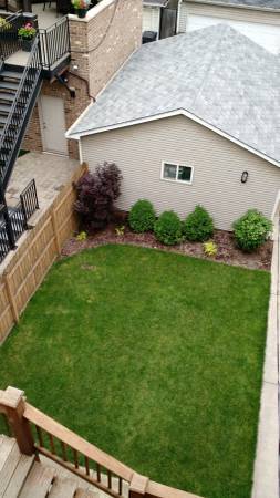 Back yard - 1820 W School St