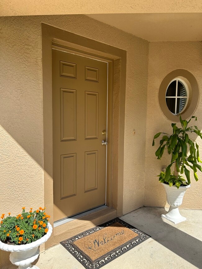 10455 Blackmore Dr, Tampa, FL 33647 House Rental in Tampa, FL