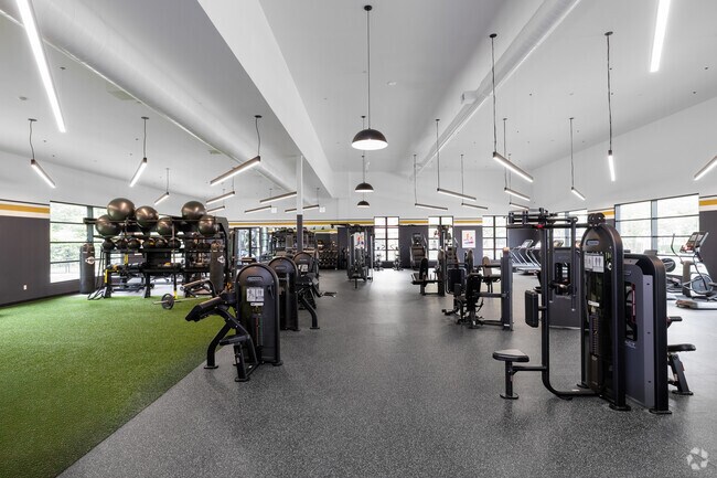 Gimnasio - Axis 201
