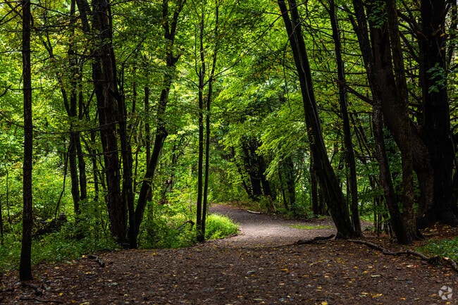 Lush green trails await at Bowers Springs Nature Preserve in Bolton.