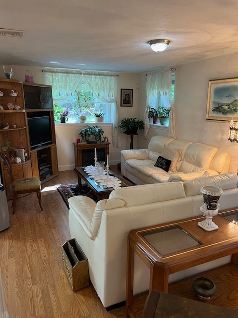 Large living room with 4 windows - 812 Foundry St