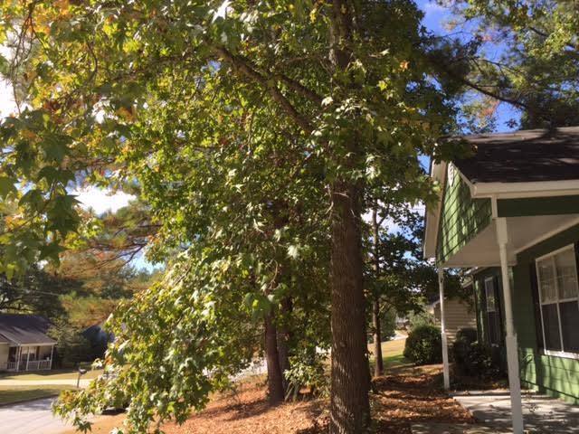 Building Photo - Coming Soon! 3 Bedroom 2 Bath
