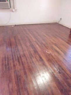 wood floors - 117 May St