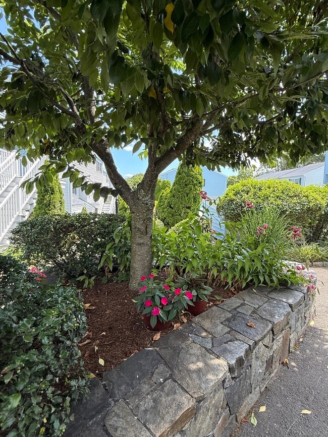 Foto del edificio - 14 1/2 Fairview Ave