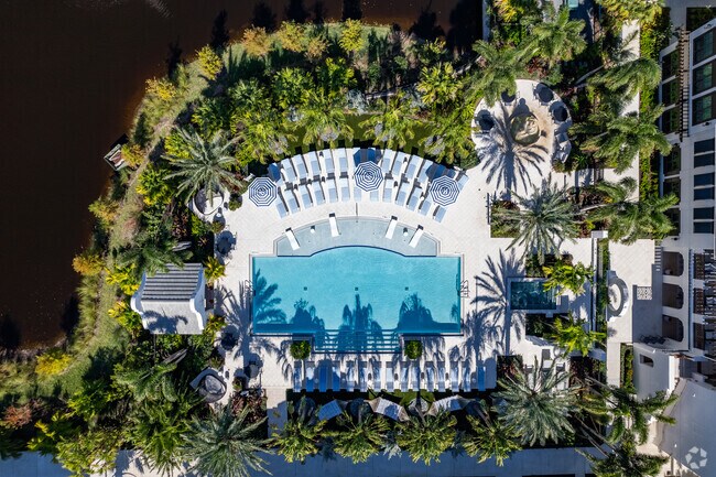 Piscina estilo resort - Town Vineland