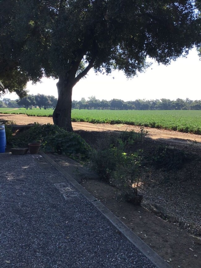 Building Photo - 3 Bedroom Home in Gilroy
