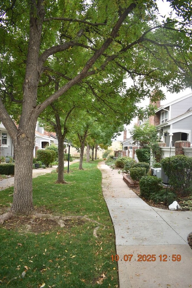 Building Photo - Freshly Updated 3 Bed Townhome