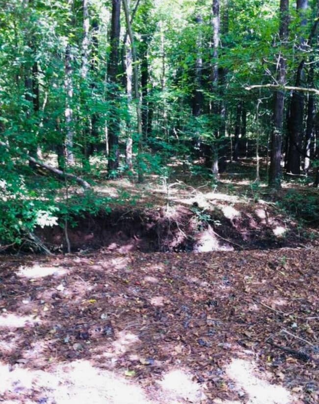 Building Photo - 4857 Misty Forest Pl NW