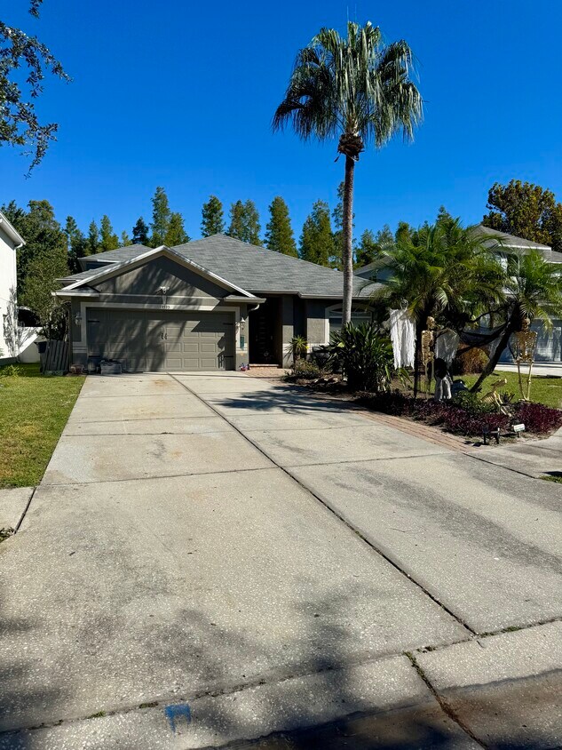 Photo - 19333 Sandy Springs Cir (Lutz, FL)