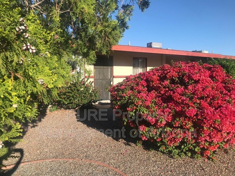 Primary Photo - 1244 N Gaylord Cir