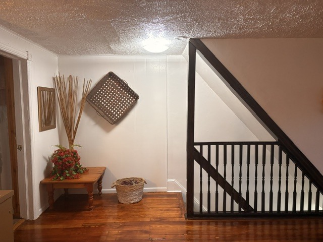 Top of steps entering apt. - 895 Old Wilmington Rd