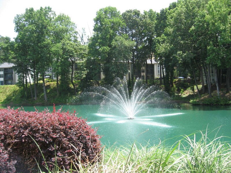 Foto principal - 1604 Lincoln Trace Cir
