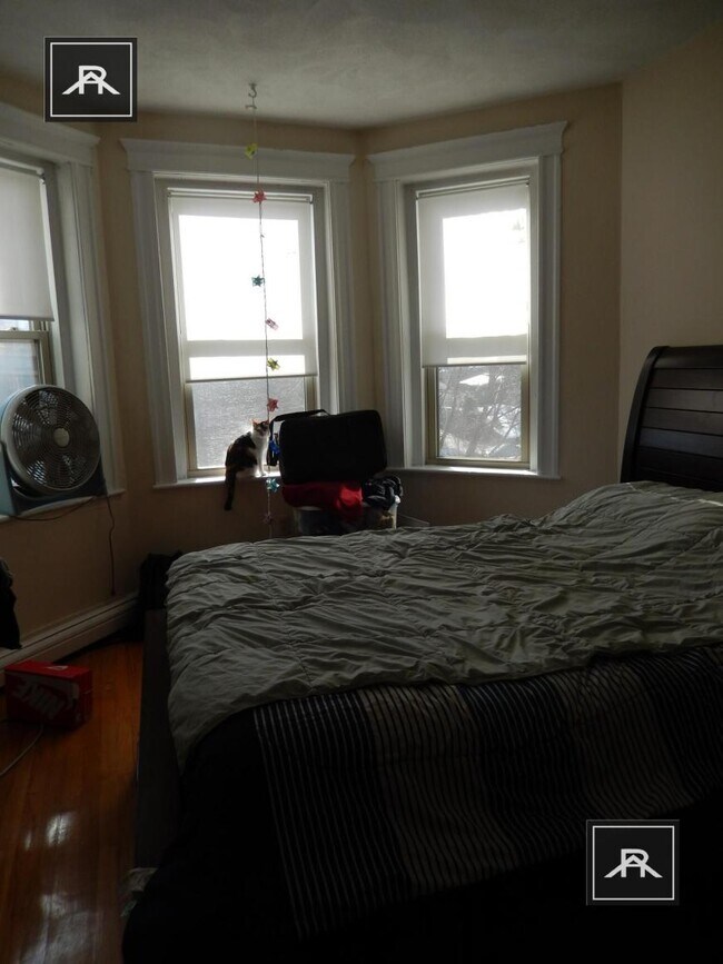 Foto del edificio - 1 bedroom in Brighton MA 02135
