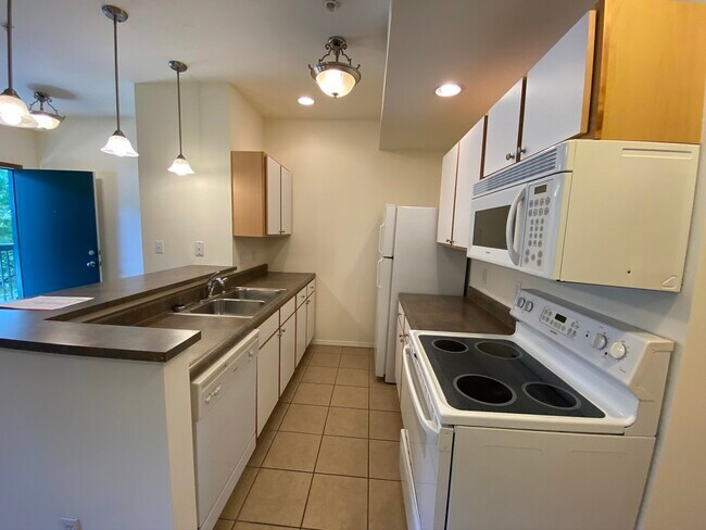 Building Photo - 503 E Springfield Ave
