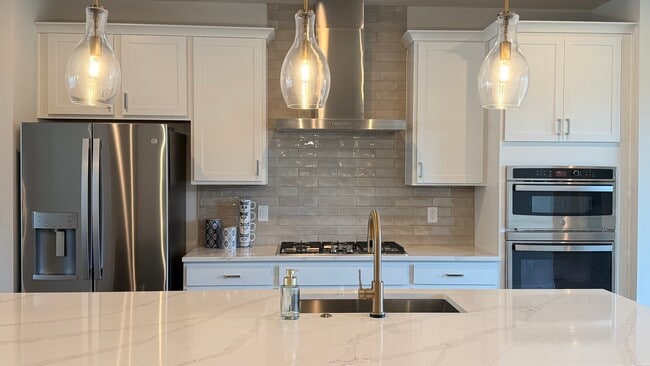 Top-of-the-line stainless appliances and custom cabinetry. - 4720 Cypress Tree Ln