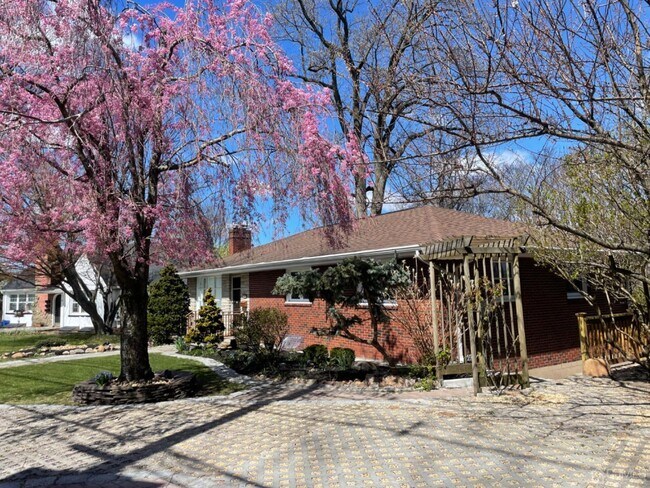 Building Photo - 242 Grandview Ave
