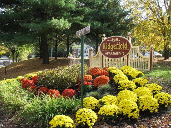 Paisajes diseñados profesionalmente - Ridgefield Apartments