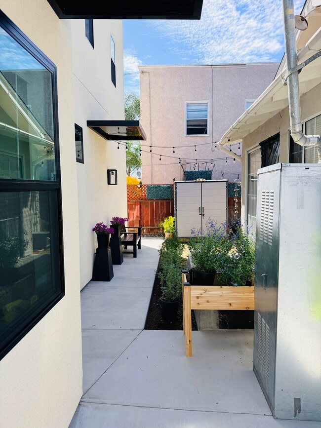 Updated yard photo - 2430 E 7th St