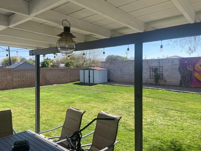 Césped del patio trasero - 911 E San Juan Ave