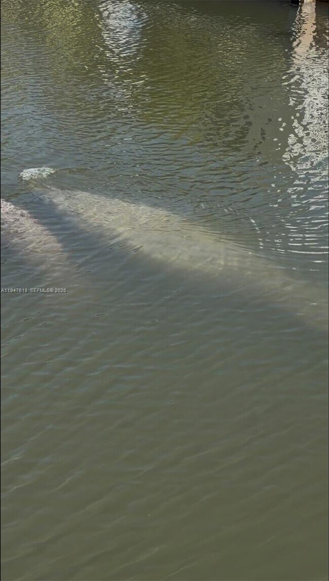 Foto del edificio - 11 Flamingo Rd