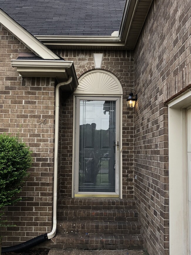 Foto del edificio - 1036 Saddle Wood Dr