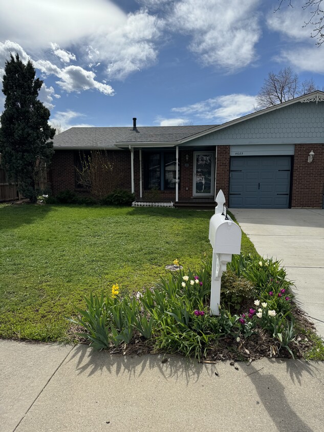 Street view, front porch, driveway, garage, maintained front yard - 4685 Robb St