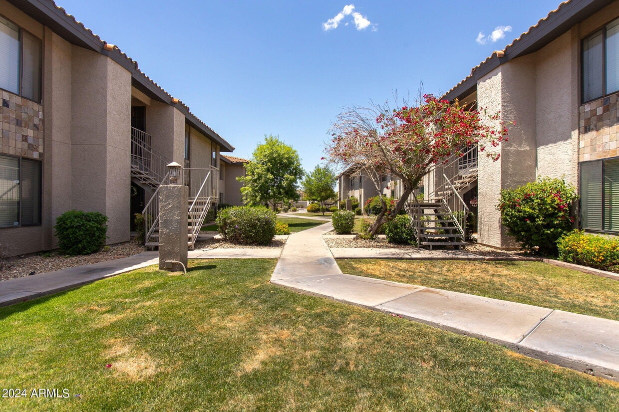 1402 E Guadalupe Rd Unit 211, Tempe, AZ 85283 Room for Rent in Tempe, AZ