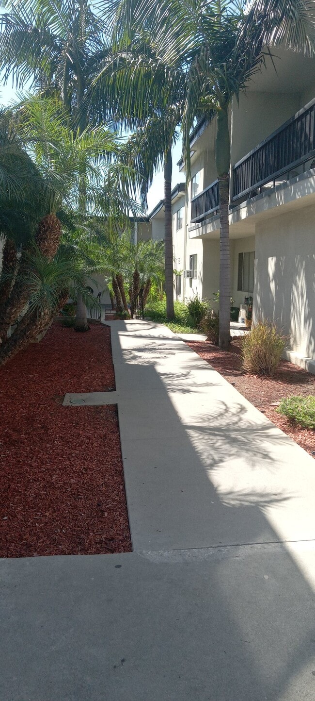 Photo - 10726 Orange Grove Apartment