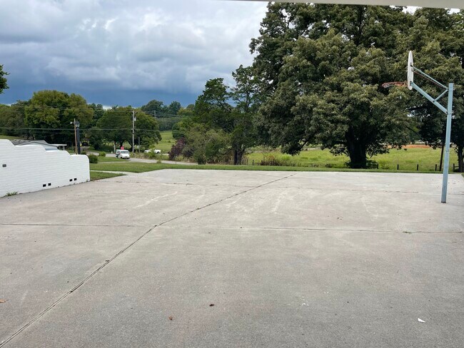 Basketball court - 1609 Maplegreen Ln