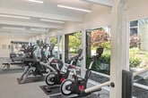 Located at 541 Del Medio Avenue in Mountain View, CA, the Palo Alto Plaza Gym is a single-floor fitness facility designed to provide a bright, functional workout environment. The space features a notably elongated, narrow floor plan with vaulted ceilings that enhance the sense of openness and airiness throughout.

A defining architectural feature is the expansive floor-to-ceiling glass wall running along one side of the gym, allowing abundant natural light to flood the interior while offering unobstructed views of the surrounding landscaped grounds and mature trees. This seamless indoor-outdoor connection creates an inviting, energizing atmosphere for workouts.

The facility is equipped with a comprehensive selection of cardio machines, including Cybex treadmills, elliptical trainers, and stationary bikes, arranged in a row along the windowed wall to maximize views and light. A dedicated free weights area features a dumbbell rack and adjustable bench, while storage shelving along the opposite wall accommodates fitness accessories such as stability balls, resistance equipment, and exercise mats.

Neutral-toned carpeting covers the floor throughout, and linear LED lighting fixtures suspended from the vaulted ceiling ensure consistent, well-distributed illumination. The overall aesthetic is clean and modern, with white walls contributing to the gym's bright, welcoming character.