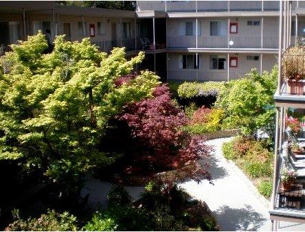 Professionally maintained courtyard - 540 Callan Ave