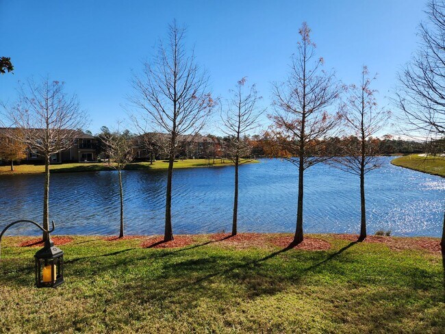 Building Photo - Spacious 3/3 Townhome With Lake View