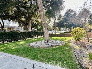 Building Photo - 1565 Las Lunas St