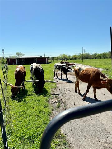 Foto del edificio - 14310 Allen Trail