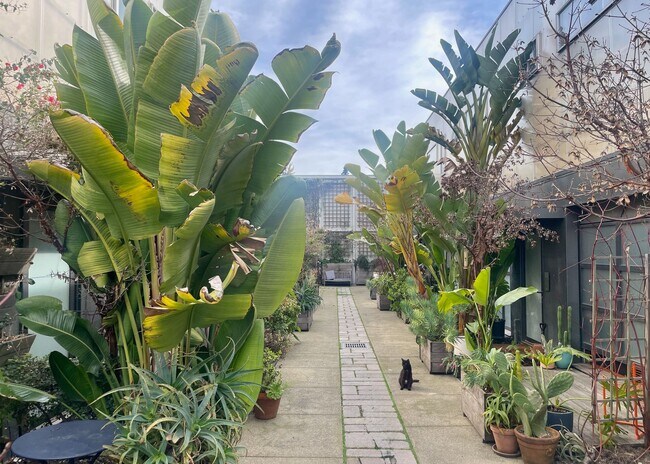 Foto del edificio - Bright Live-Work Studio & Tall Ceilings on Adeline in Oakland