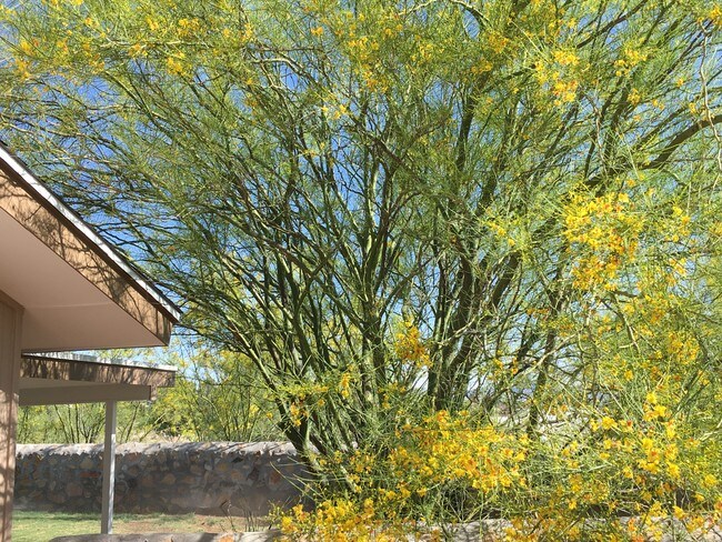 Foto del edificio - 866 Nita Fay Dr