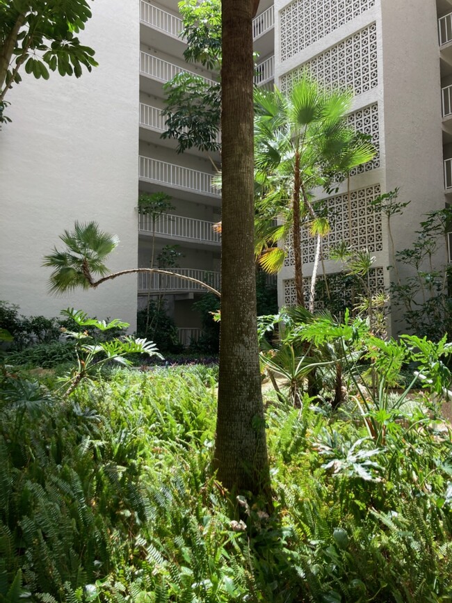 Large Private Atrium - 500 N Osceola Ave