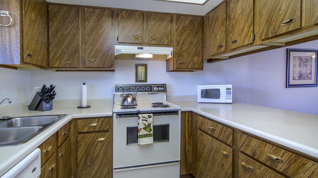Building Photo - 4150 E Cactus Rd