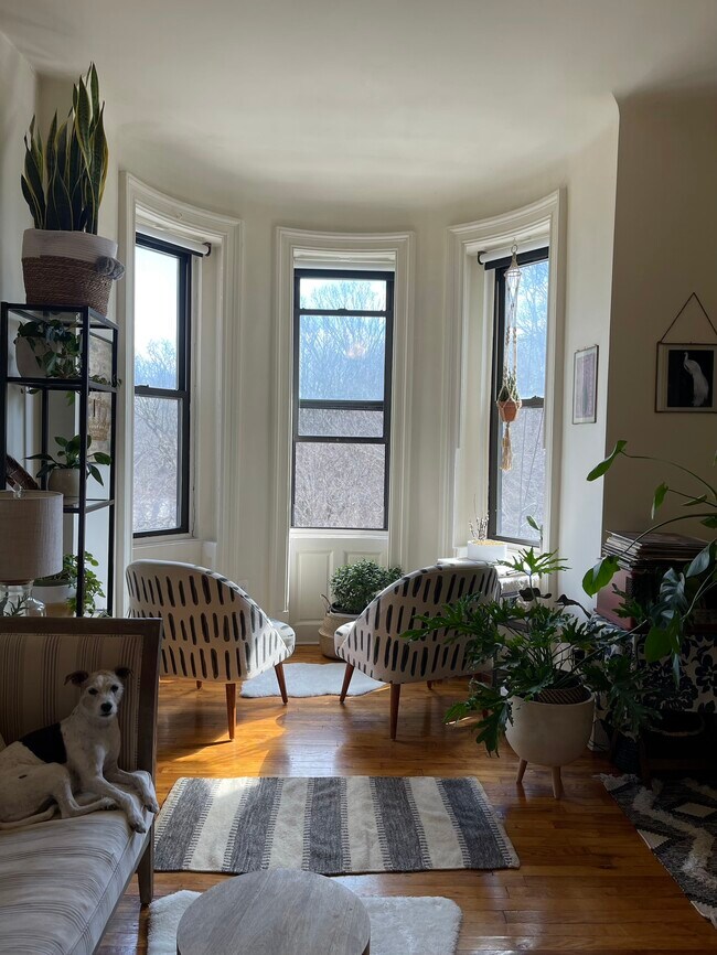 Living room - 99 Prospect Park W