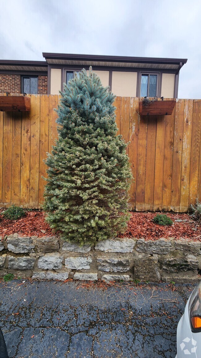 Hycrest Acres Condos for Rent West Chester, OH 1 Rentals