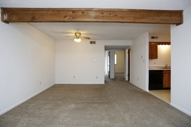 Interior Photo - Stadium Apartments