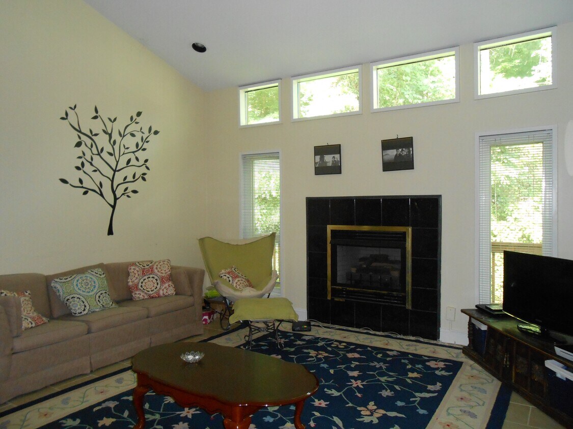 Living Room with vaulted ceiling - 903 E Franklin St