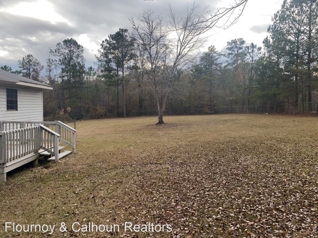 Building Photo - 4 br, 2 bath House - 4050 Uchee Hill Highway