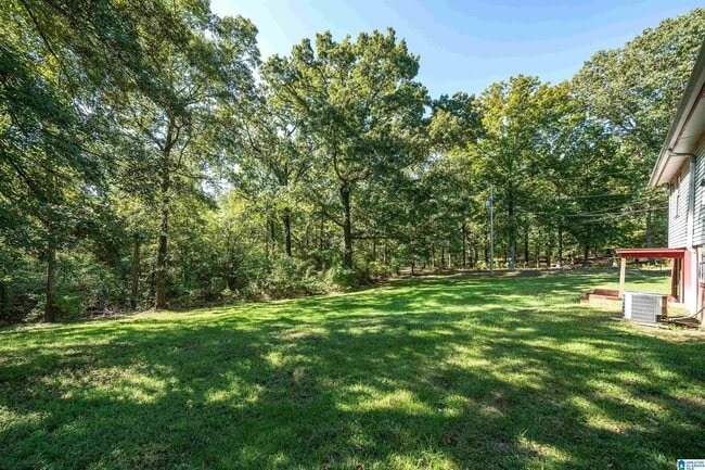 Building Photo - 1541 Rainbow Ln