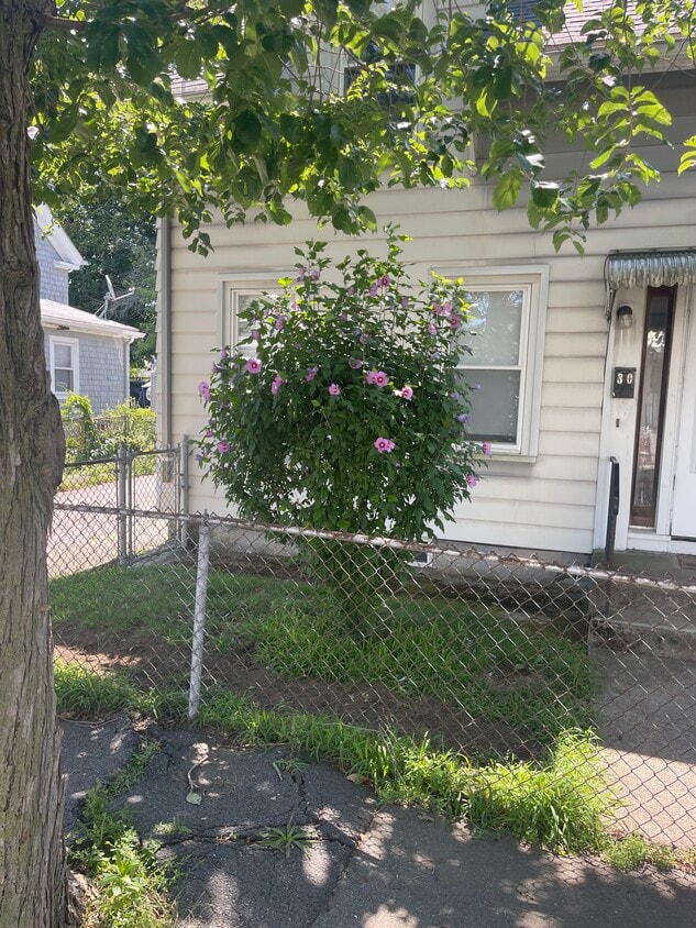 Primary Photo - 30 Pearl St