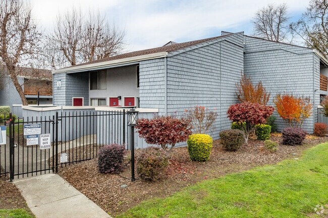 Alternar - Stony Brook