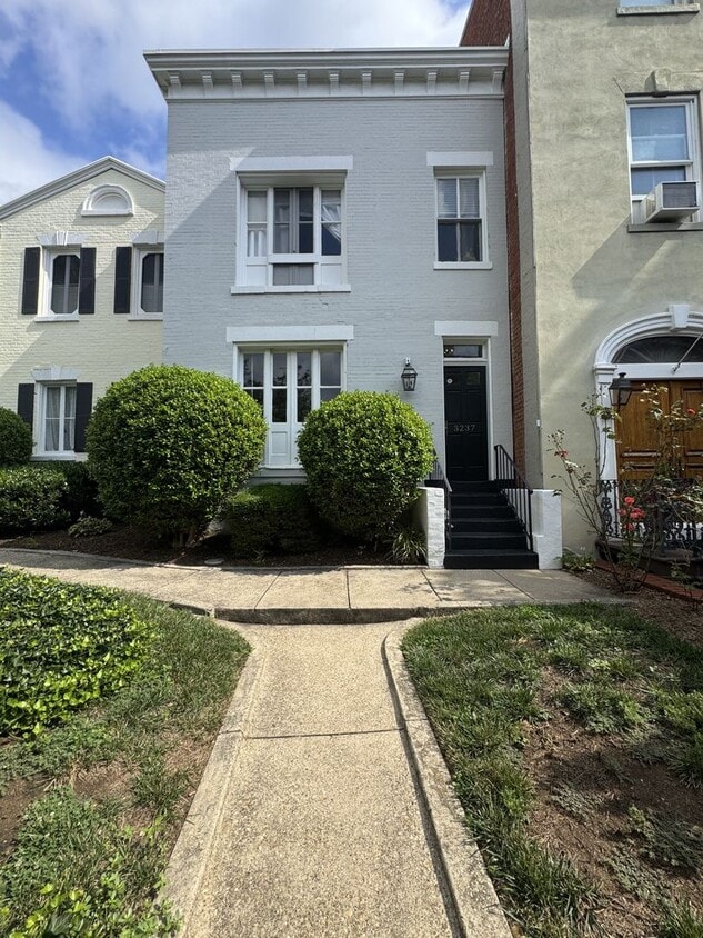 Primary Photo - Centrally Located 1BR/1BA in Georgetown