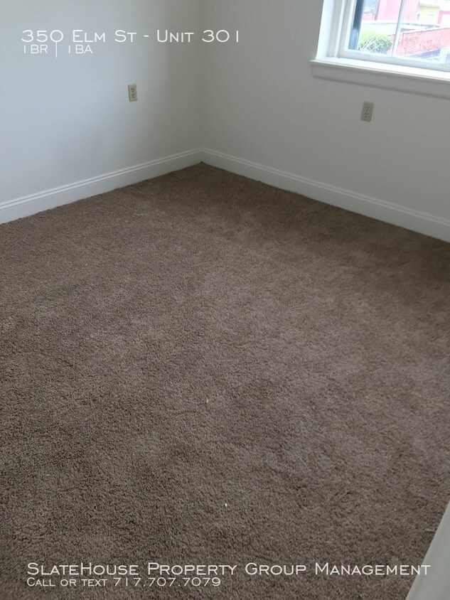 Building Photo - Best apartment in the City!